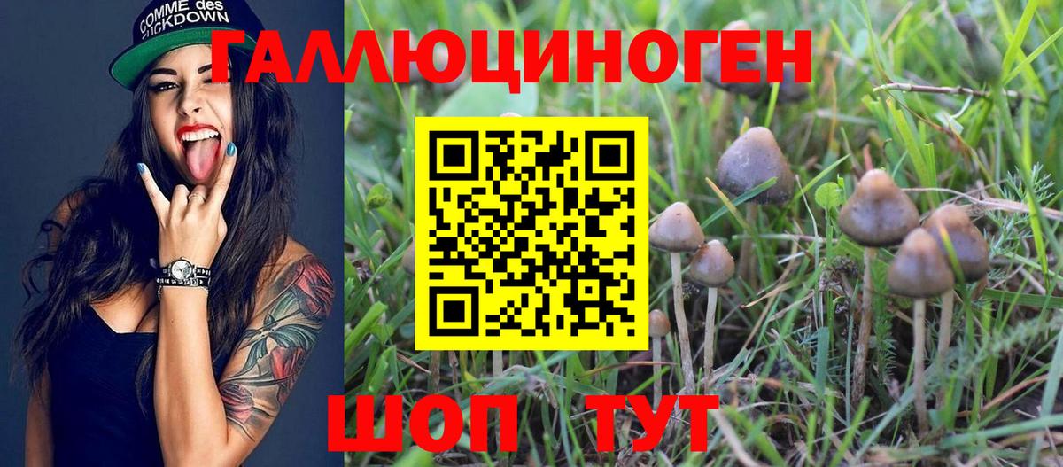 Псилоцибиновые грибы Magic Shrooms  купить закладку  Минусинск  Галлюциногенные грибы Magic Shrooms  Вход с VPN 