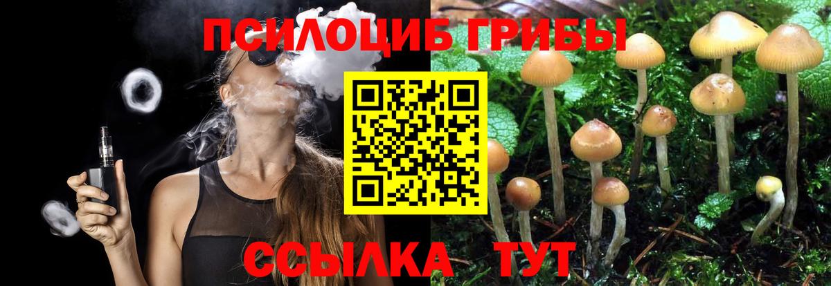 Псилоцибиновые грибы GOLDEN TEACHER Минусинск